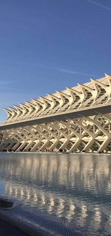 Preview of Walk the Turia Riverbed, València