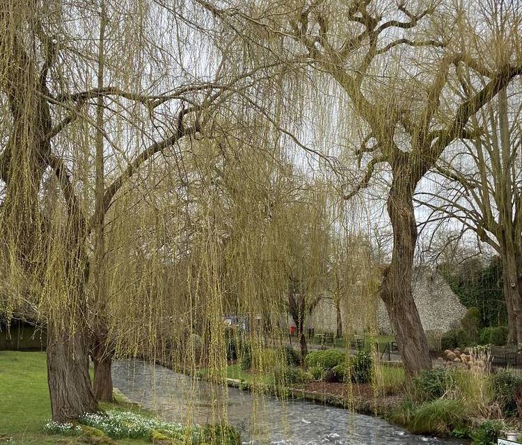 Preview of Itchen Navigation: Segment 1 of 3