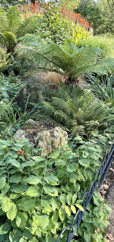 Preview of King’s Cross to Portland Place