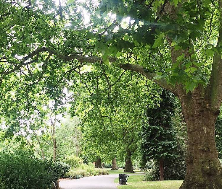 Preview of Lunch break walk in Southwark Park