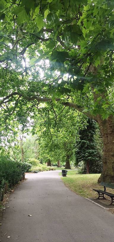 Preview of Lunch break walk in Southwark Park
