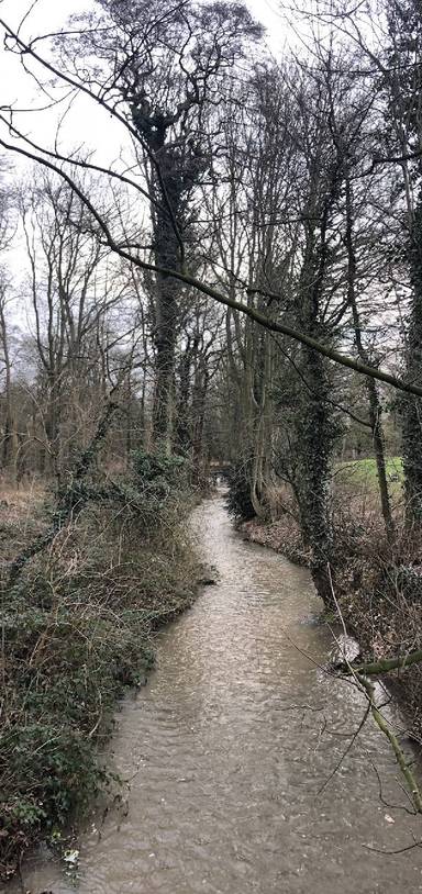 Preview of Mini nature break in Markeaton Park