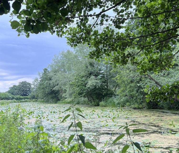 Preview of Walking Wanderlust in Welshpool
