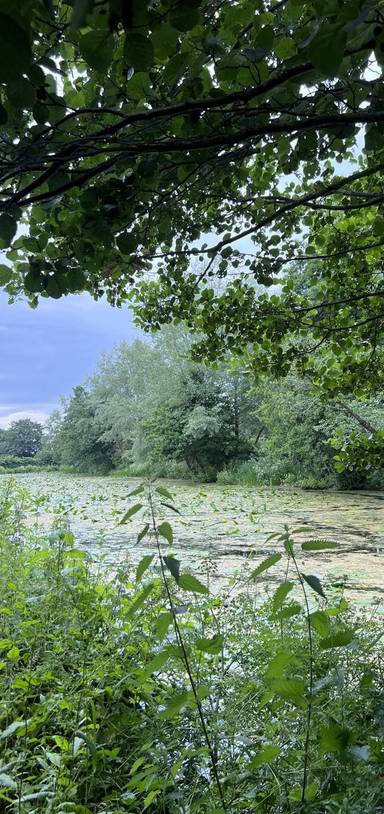 Preview of Walking Wanderlust in Welshpool