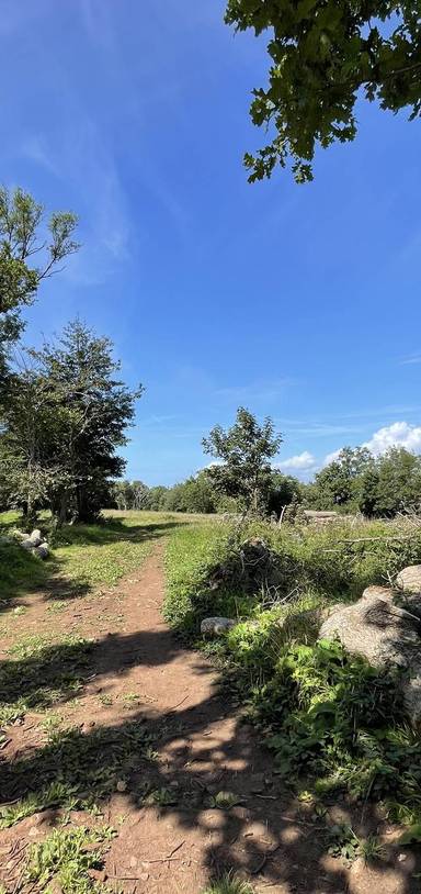 Preview of Step-free to Iron Age Worlebury