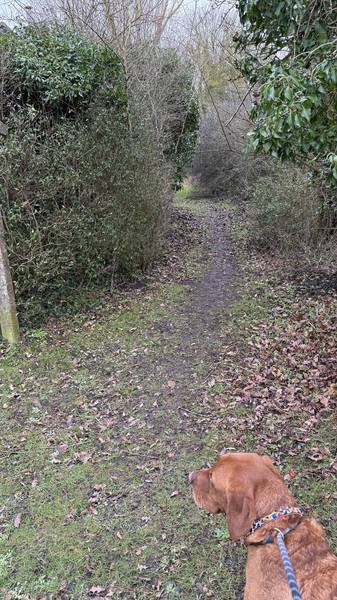 Preview of BERDEN “Beating the bounds” Part 3