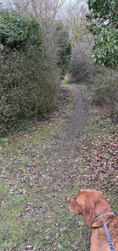 Preview of BERDEN “Beating the bounds” Part 3