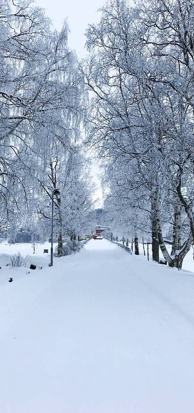 Preview of NYE walk in Östersund ❄️