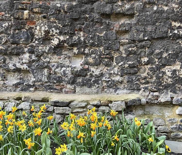 Preview of Tour London’s Old Roman Wall