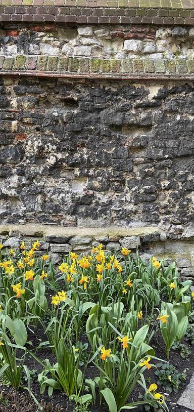 Preview of Tour London’s Old Roman Wall