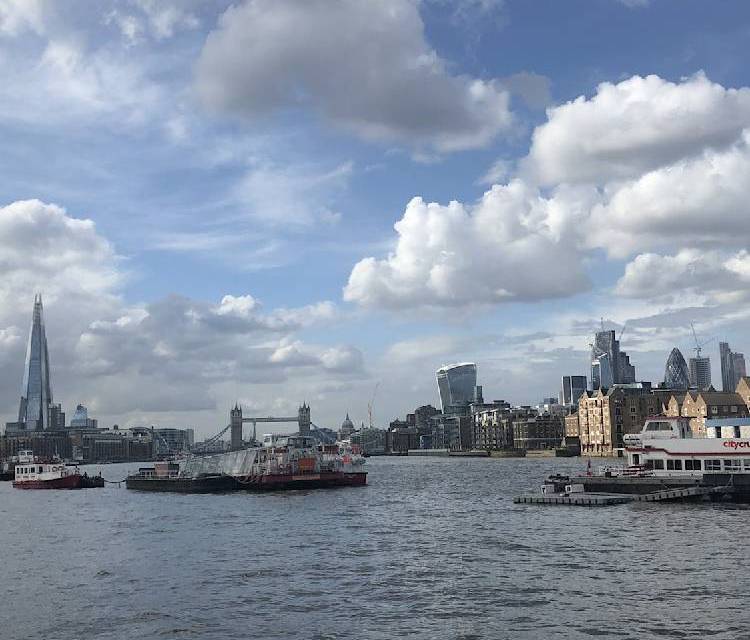 Preview of From Bridges and Butlers to Brunel