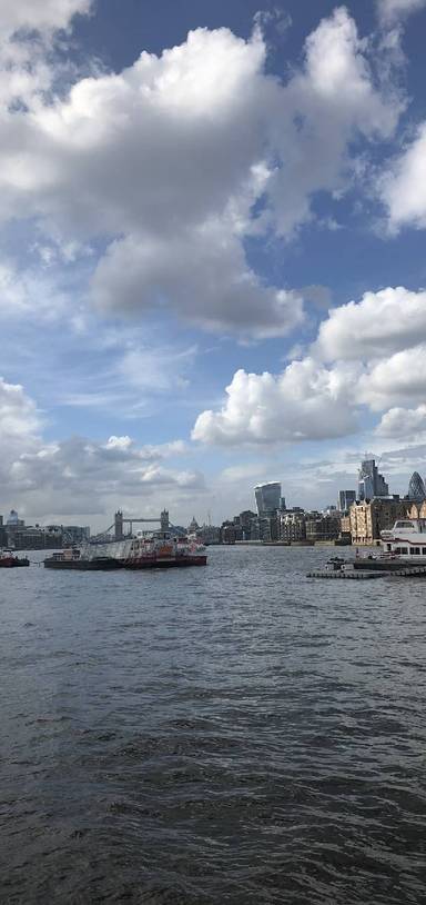 Preview of From Bridges and Butlers to Brunel