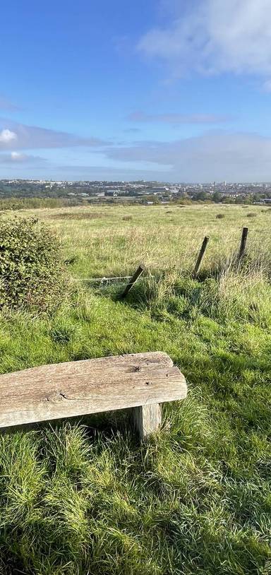 Preview of Bristol Ring Section 4