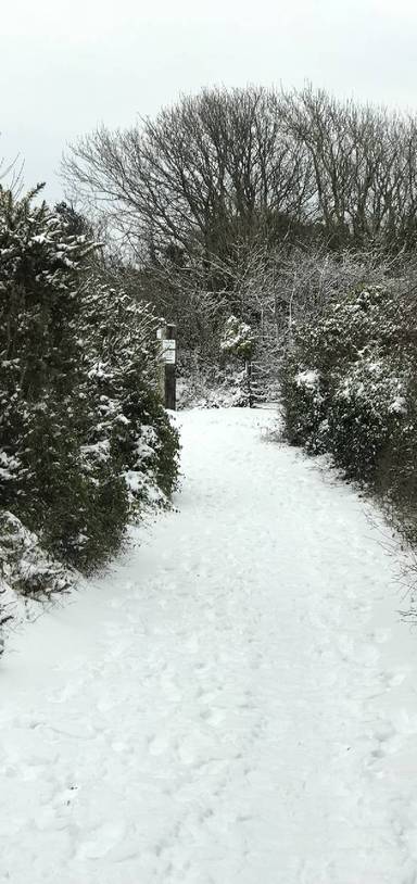 Preview of Tenby to Penally village 