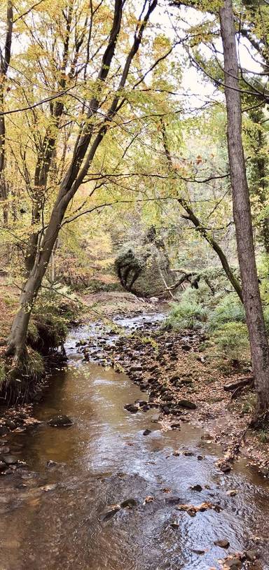 Preview of Sandsend to Mulgrave Castle Loop