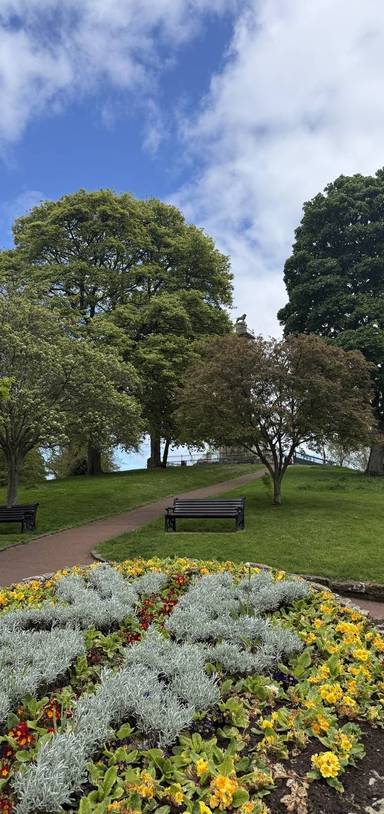 Preview of Alnwick Infirmary Nature Break Walk