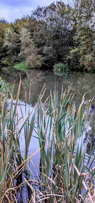 Preview of Bury to Burrs step-free jaunt