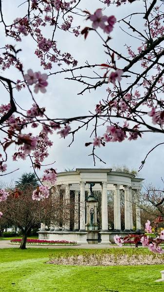 Preview of Cardiff Blooming Trail