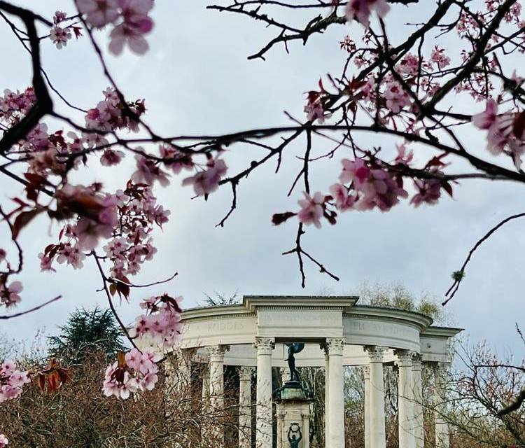 Preview of Cardiff Blooming Trail