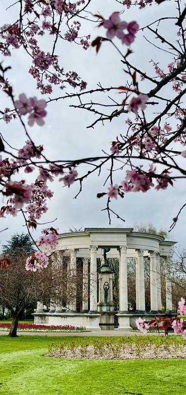 Preview of Cardiff Blooming Trail