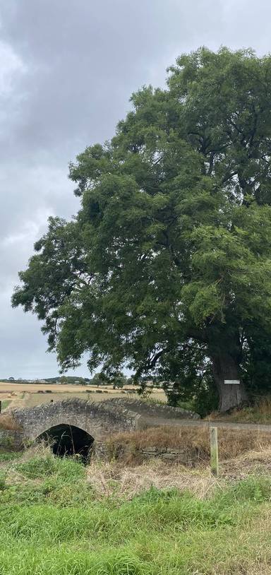 Preview of Ravensworth to Mainsgill Farm Shop