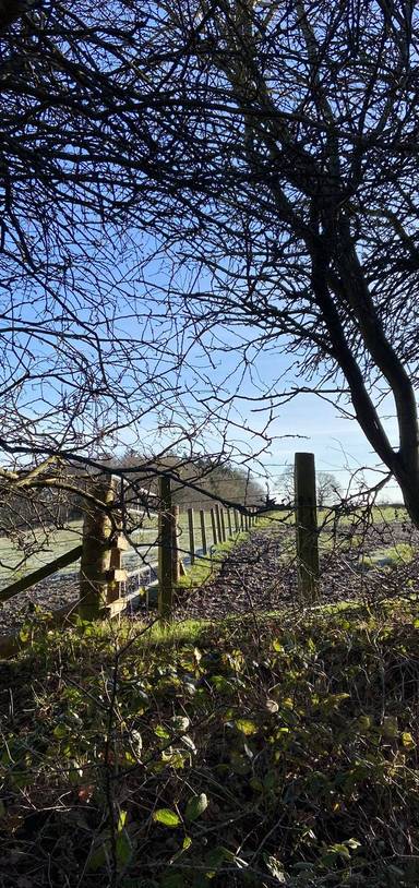 Preview of Town and Country Railway Circuit