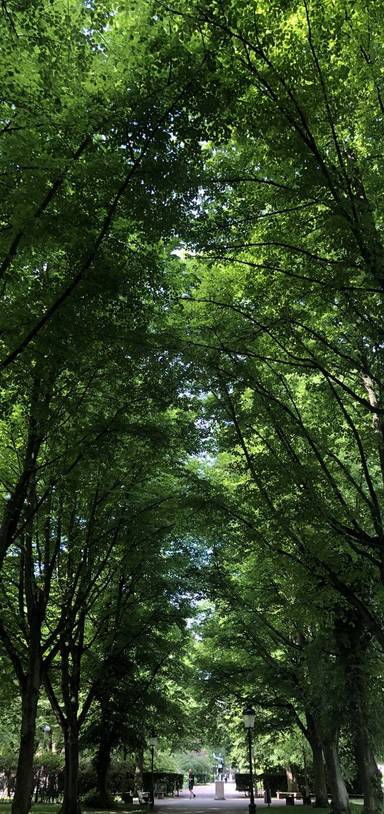 Preview of Kungsgatan Jaunt