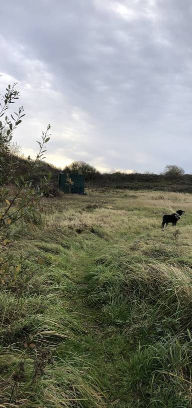 Preview of Swaddywell in winter