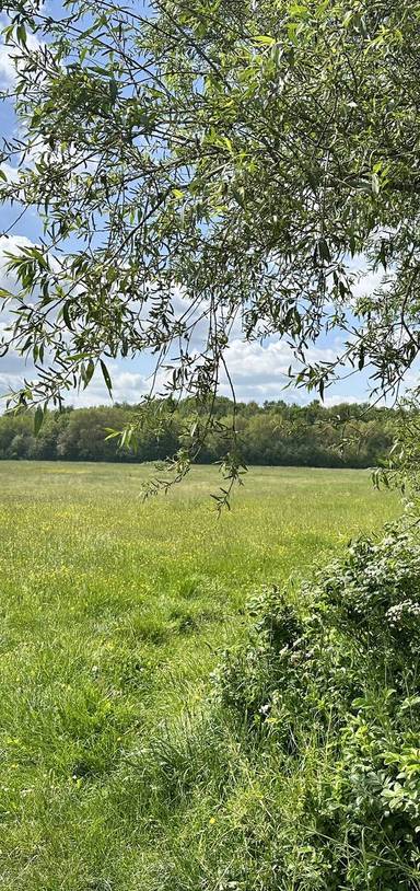 Preview of Broxtowe Country Park Loop