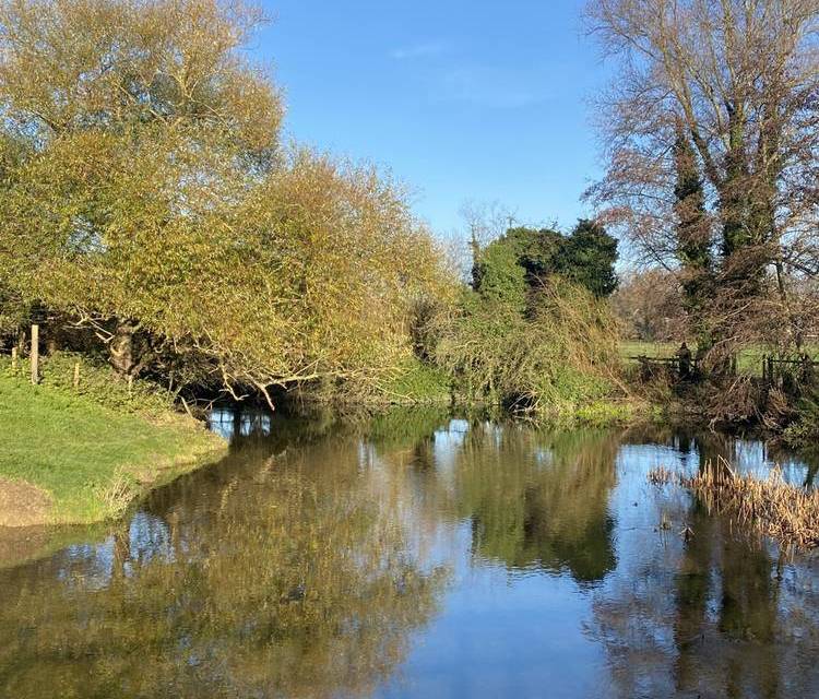 Preview of Sudbury Water Meadow Trail