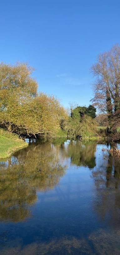 Preview of Sudbury Water Meadow Trail