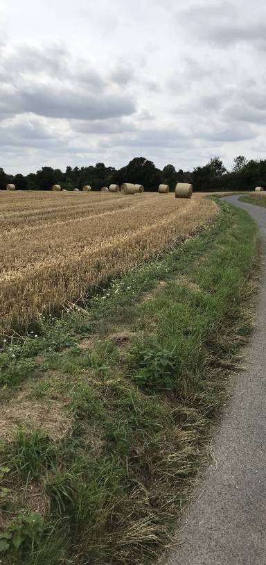 Preview of An agricultural walk round Cotton