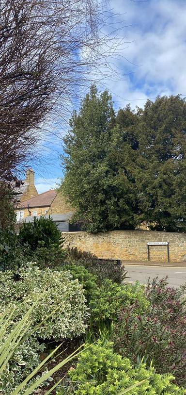 Preview of Bodicote Circular