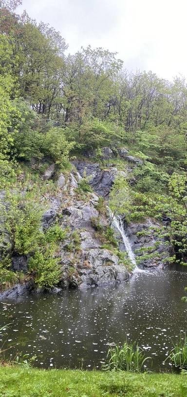 Preview of Slottskogen runt đż