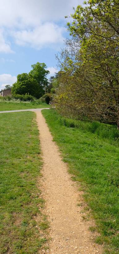 Preview of The Orbital at Hilly Fields