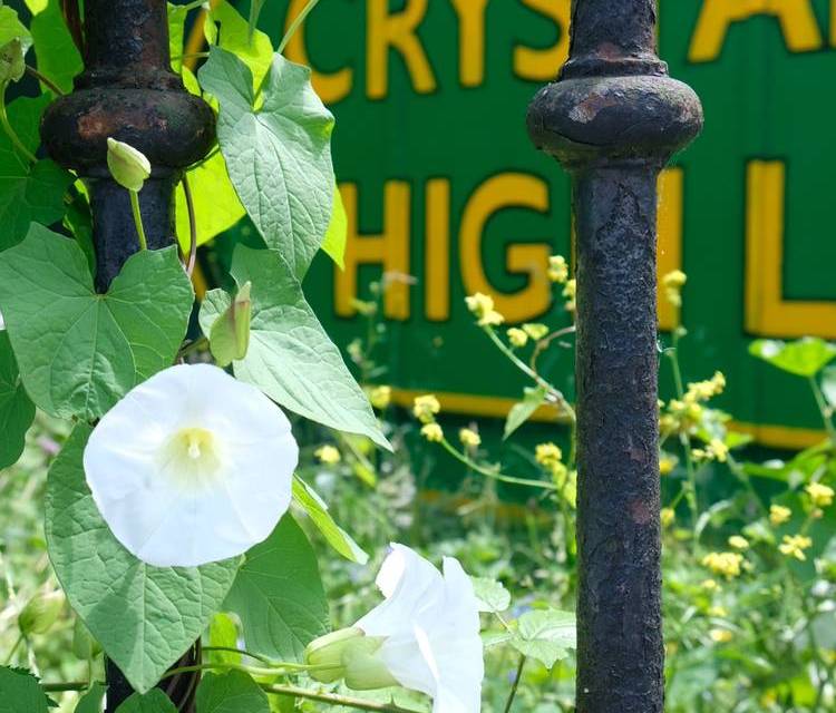 Preview of Crystal Palace Art Tour