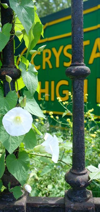 Preview of Crystal Palace Art Tour