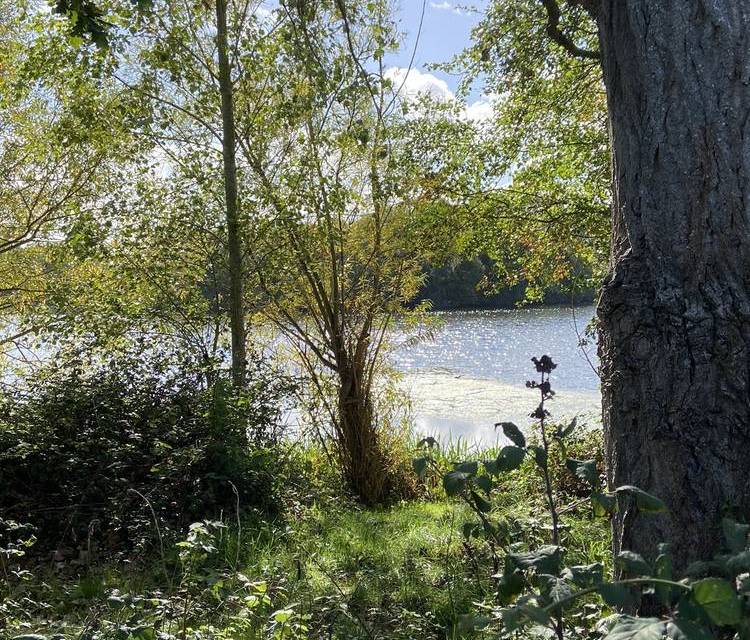 Preview of Adventuring in Twyford Trail