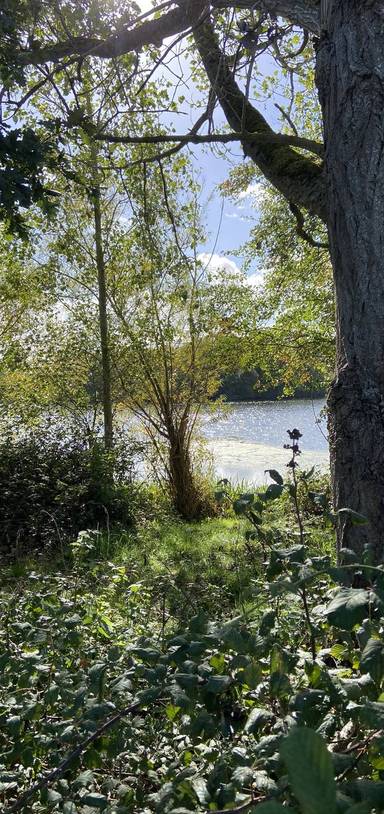 Preview of Adventuring in Twyford Trail