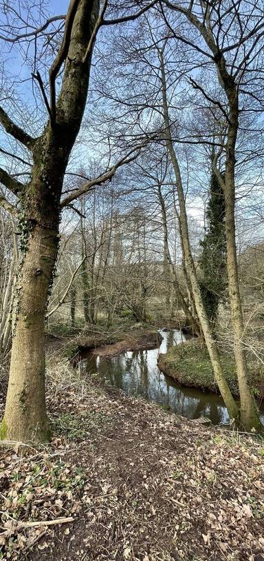 Preview of Wellow Brook Greenway Sampler