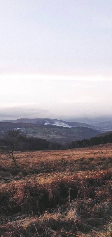 Preview of Longshaw tearoom to The Grouse
