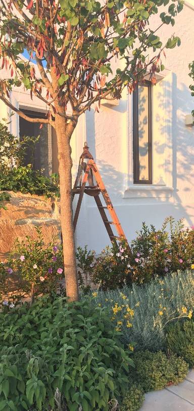 Preview of The Glorious Houses of Ugento.