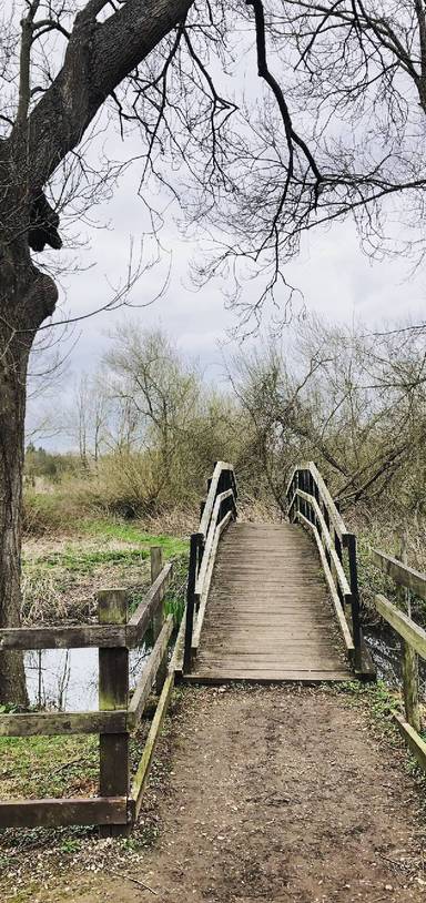 Preview of The scenic route to Oxford Parkway