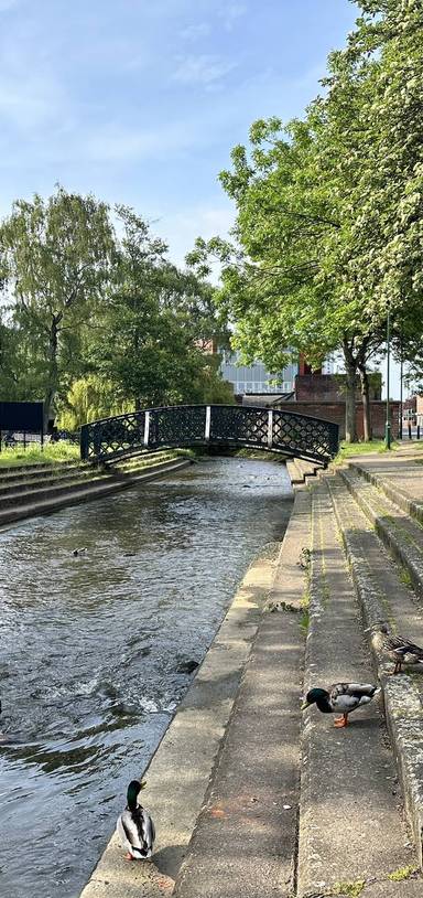 Preview of Loop Around the River Leen