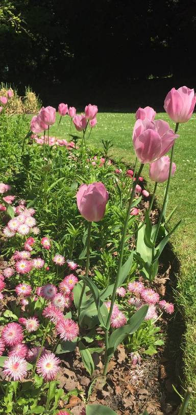 Preview of Wander Woodthorpe Grange Park