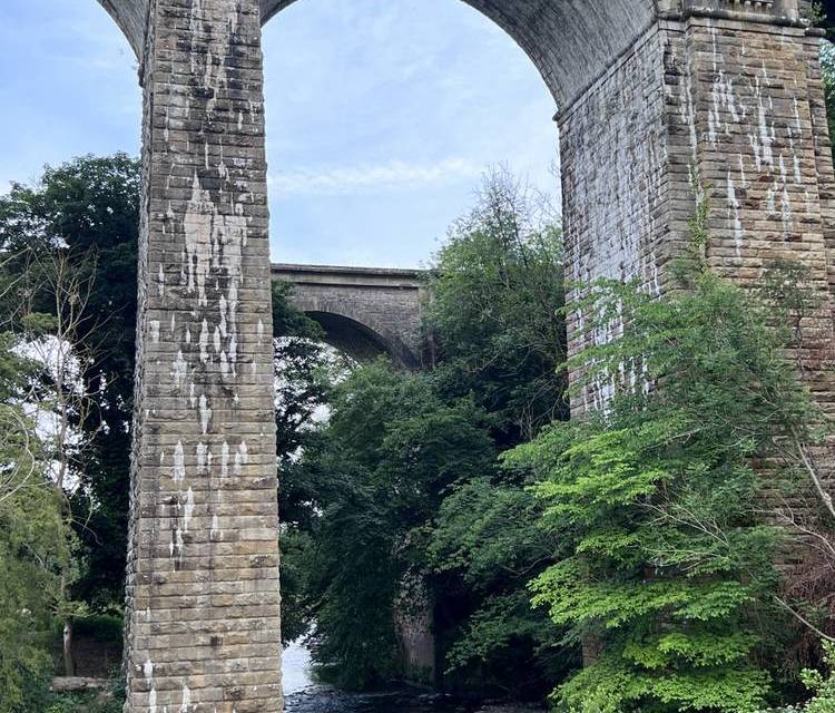 Preview of Views Galore on the Big Chirk Tour