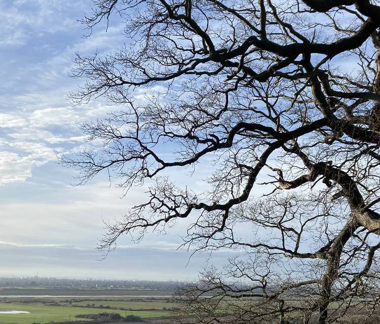 Preview of Exploring Hadleigh (Shorter Loop)