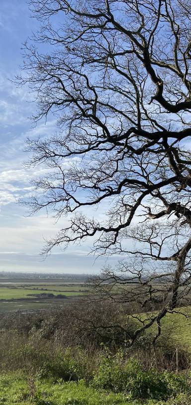 Preview of Exploring Hadleigh (Shorter Loop)