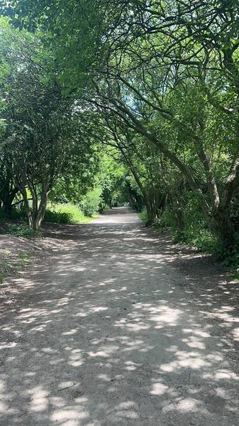 Preview of Guisborough Walkway Step-Free