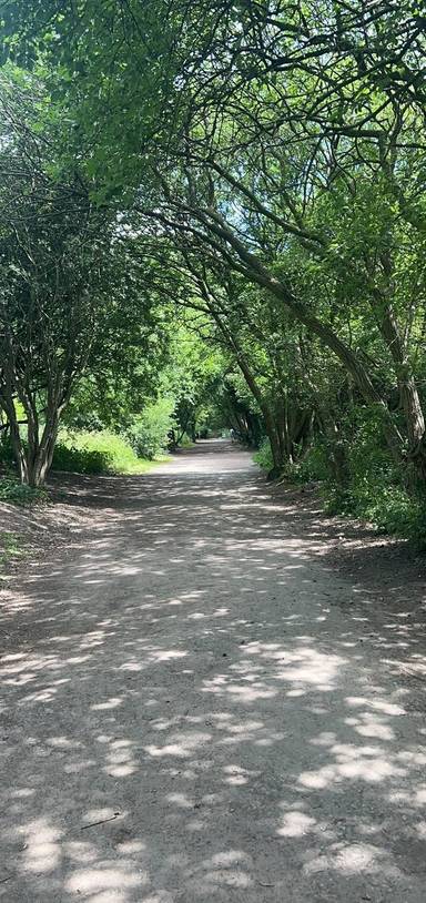 Preview of Guisborough Walkway Step-Free
